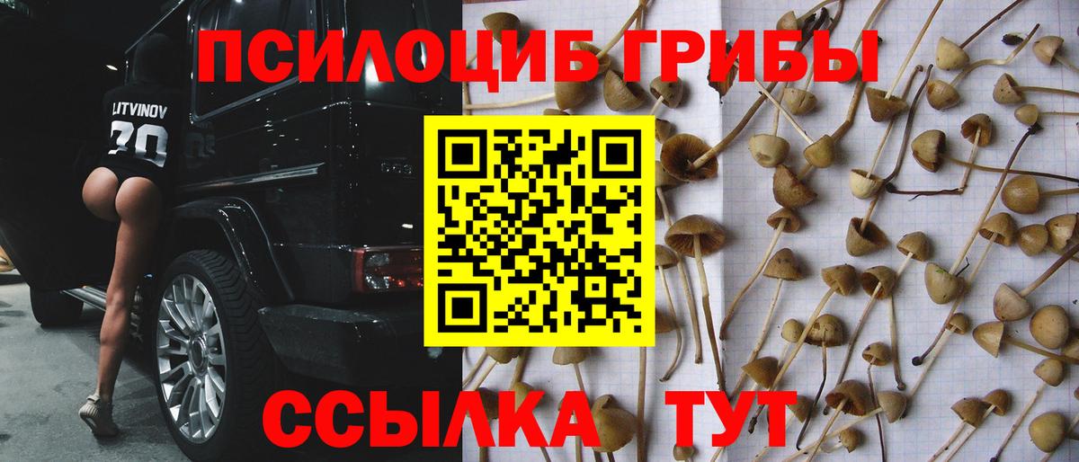 Галлюциногенные грибы Magic Shrooms  наркотики  Магнитогорск  Вход с VPN 